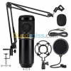 MICROPHONE PROFESSIONELLE DJ M-800U