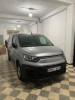 Fiat Doblo 2024 Professional