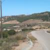 Vente Terrain Tipaza Cherchell