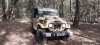 Toyota Land Cruiser 1975 Court