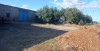 Vente Hangar Béjaïa Tazmaltdaira