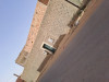 Vente Villa Ouargla Ouargla