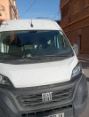 Fiat ducato 2023