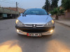 Peugeot 206 Sedan 2009 206 Sedan