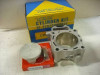 Piston cylinder Honda CRF 450 250 