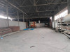 Location Hangar Blida Meftah