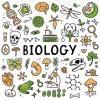 Enseignante de science (Biology Teacher)