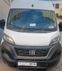 Fiat Ducato 2023