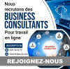 Business consultant | Job / Travail en ligne