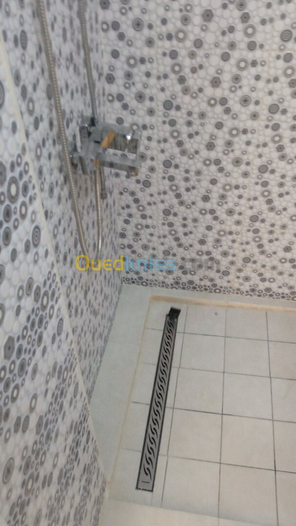 Vente Appartement F2 Alger Beni messous