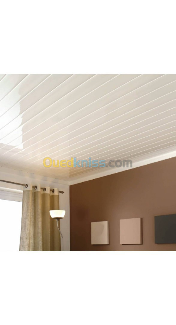 Faux plafond placo-PVC-Revetement