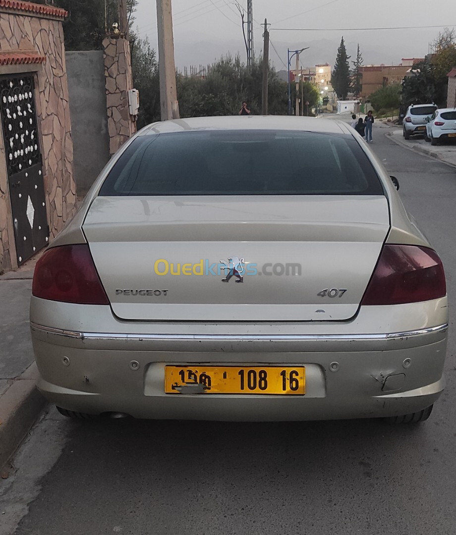 Peugeot 407 2008 407