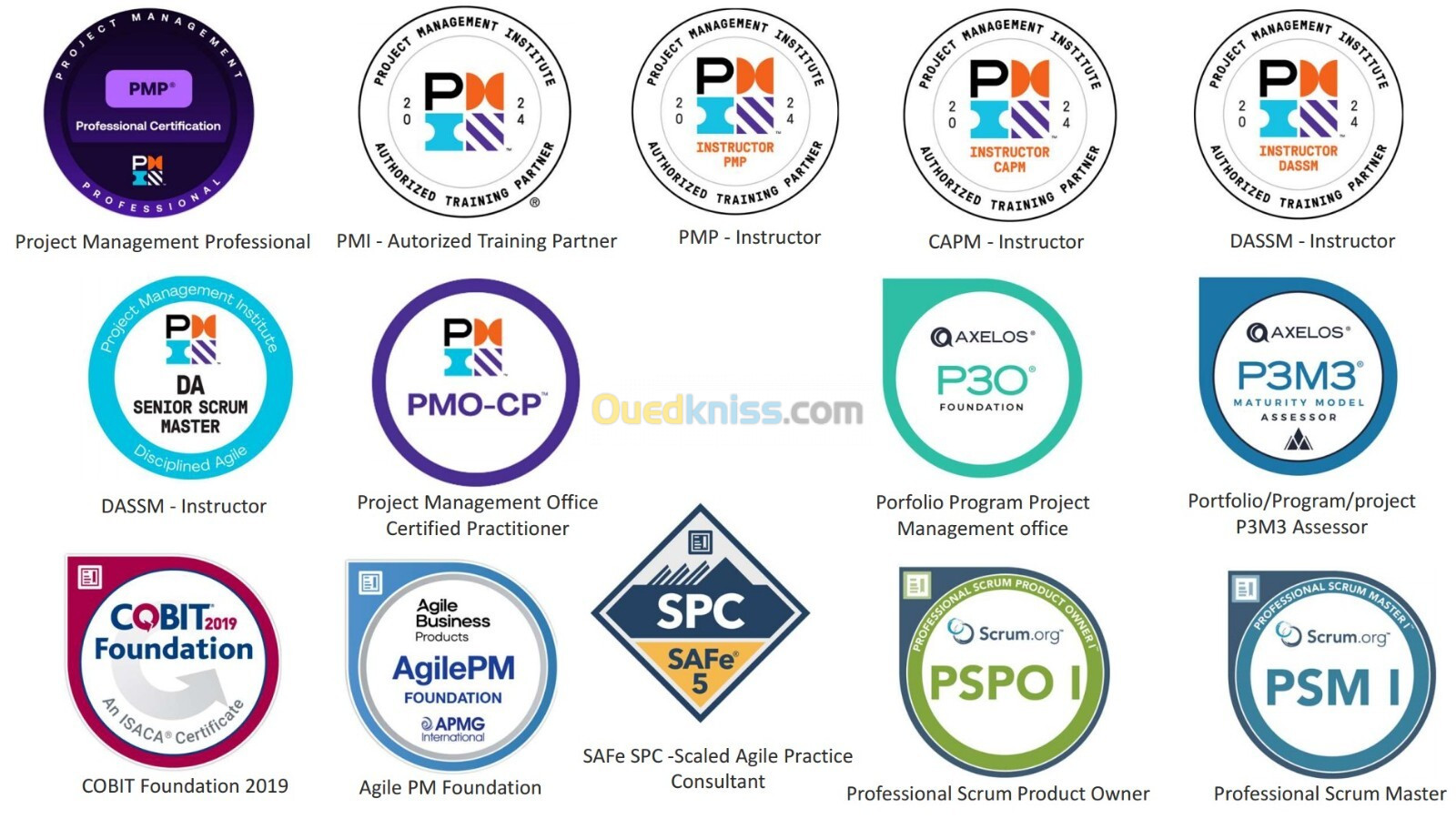 Formation certifiante PMO - Project Management Office