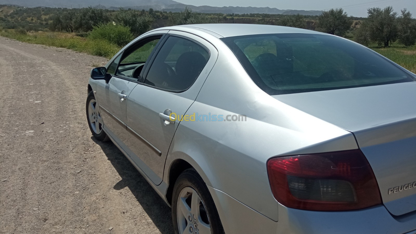 Peugeot 407 2004 407