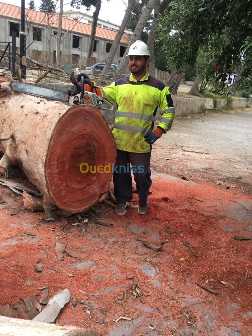 Société abattage et élagage des arbres تقطيع الاشجار