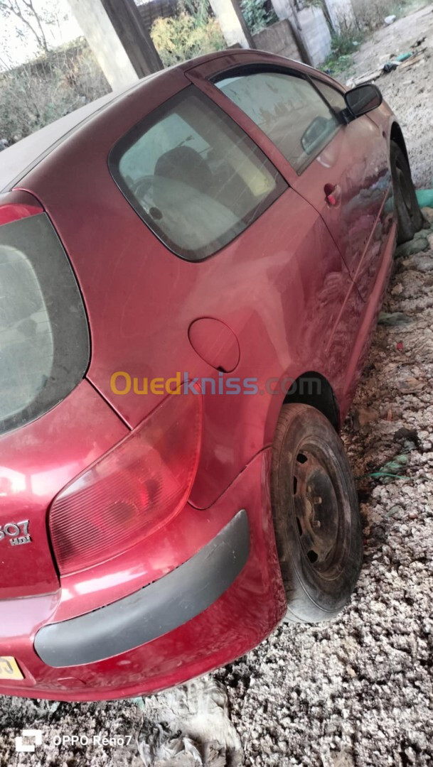 Peugeot 307 2002 XT