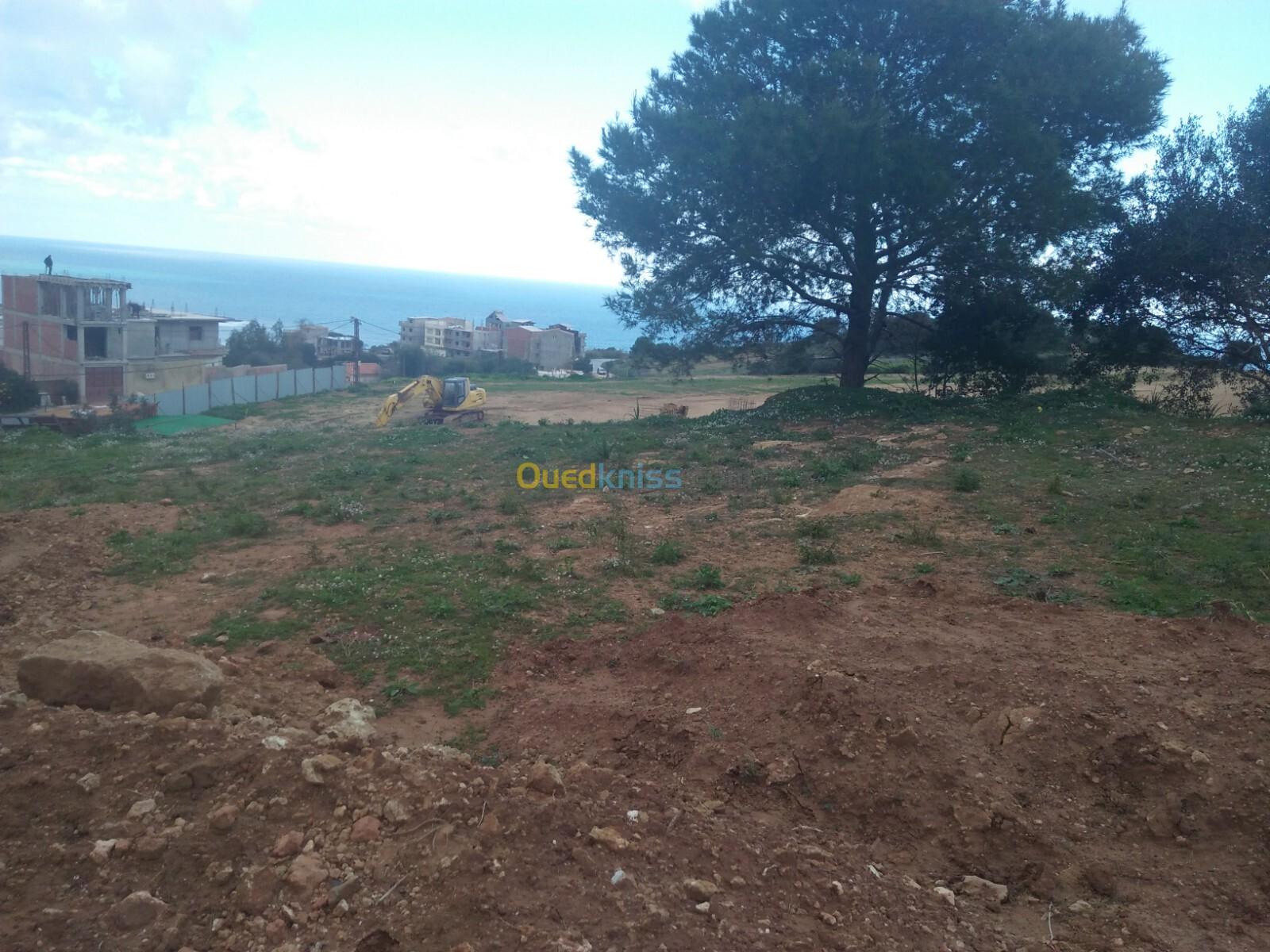 Vente Terrain Tipaza Cherchell