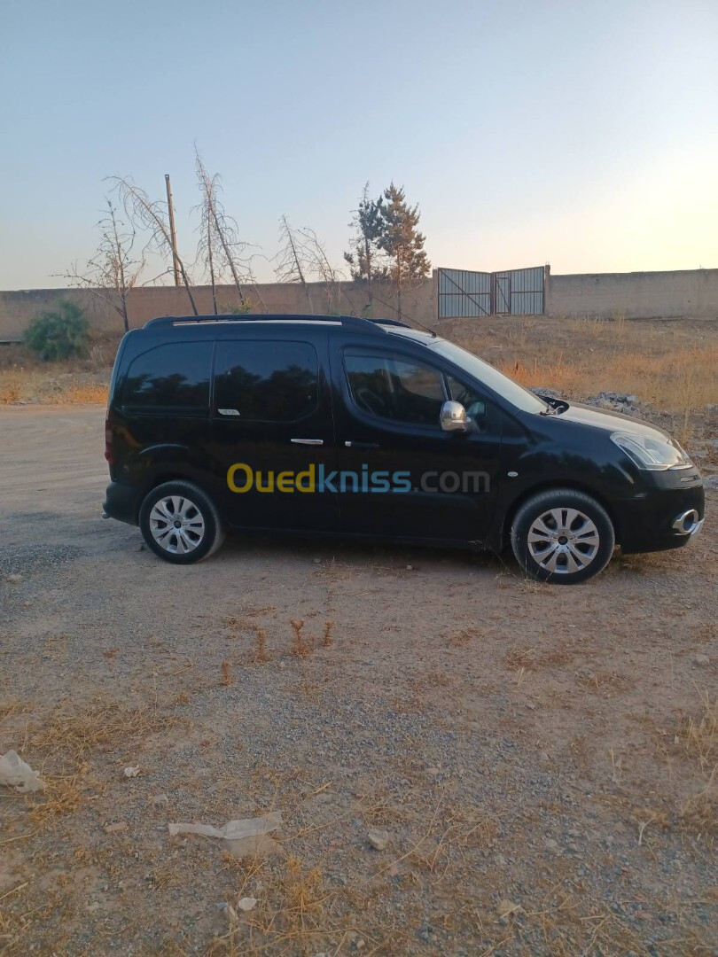 Citroen Berlingo 2015 Berlingo