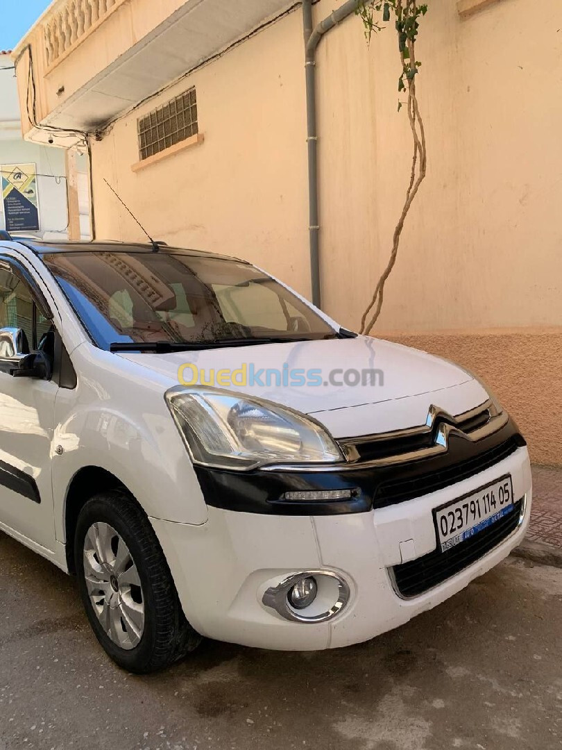 Citroen Berlingo Multispace 2014 