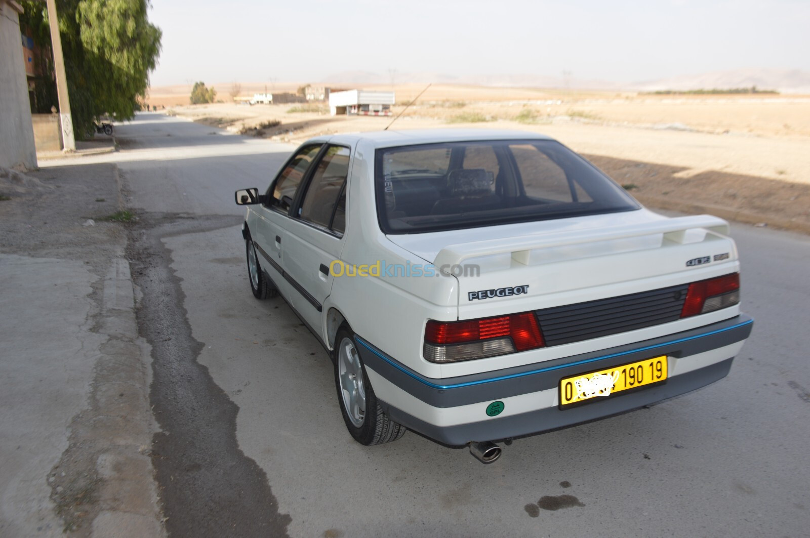 Peugeot 405 1990 405