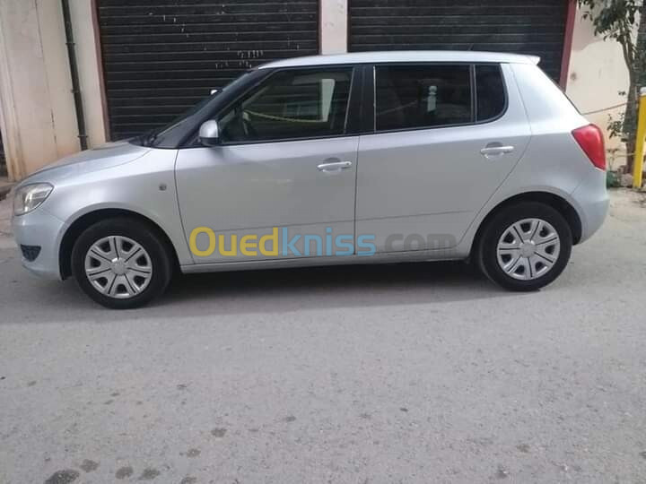 Skoda Fabia 2014 Visage