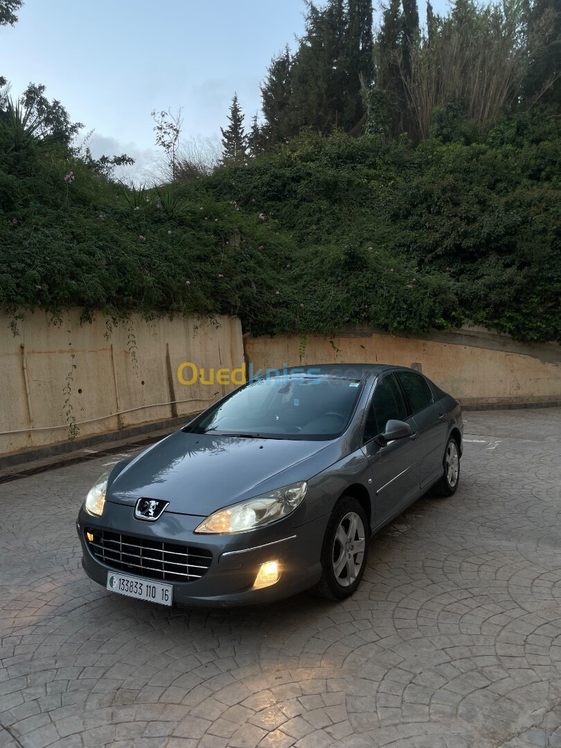 Peugeot 407 2010 