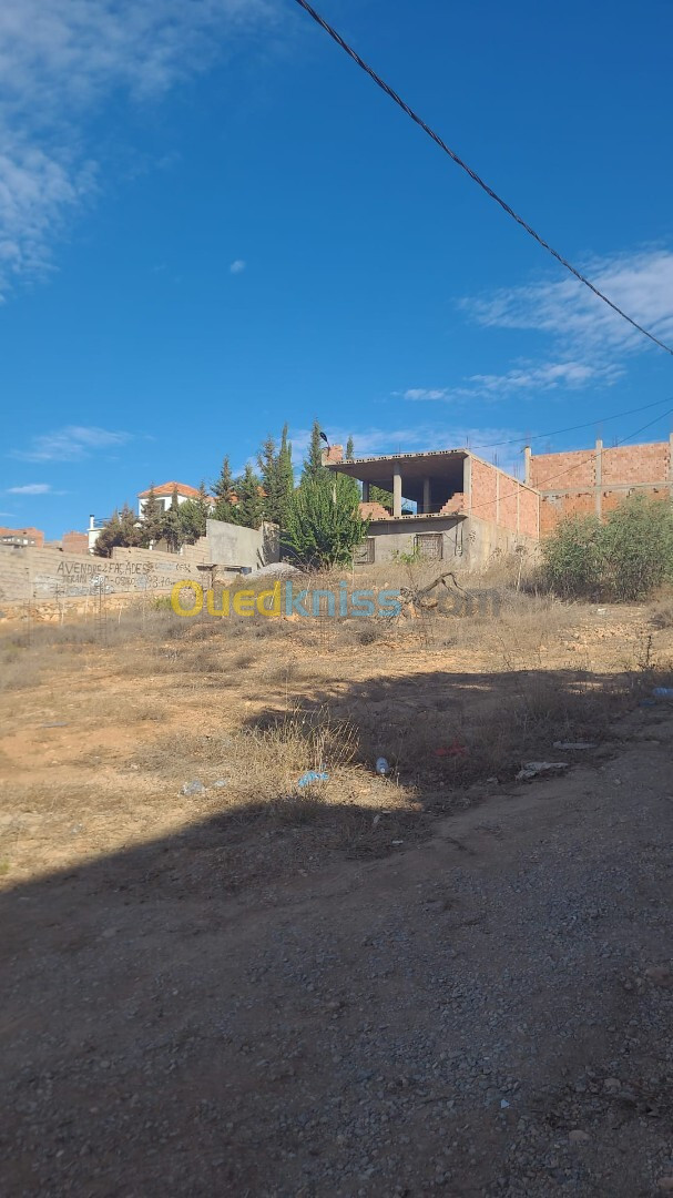 Vente Terrain Tlemcen Ghazaouet