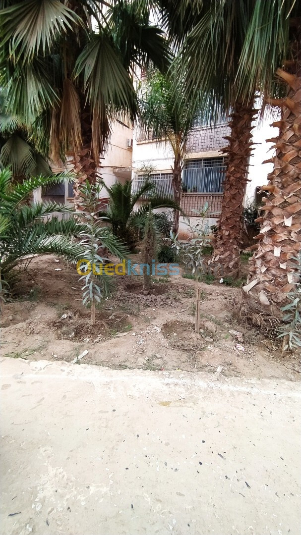 Vente Appartement F4 Tipaza Hadjout