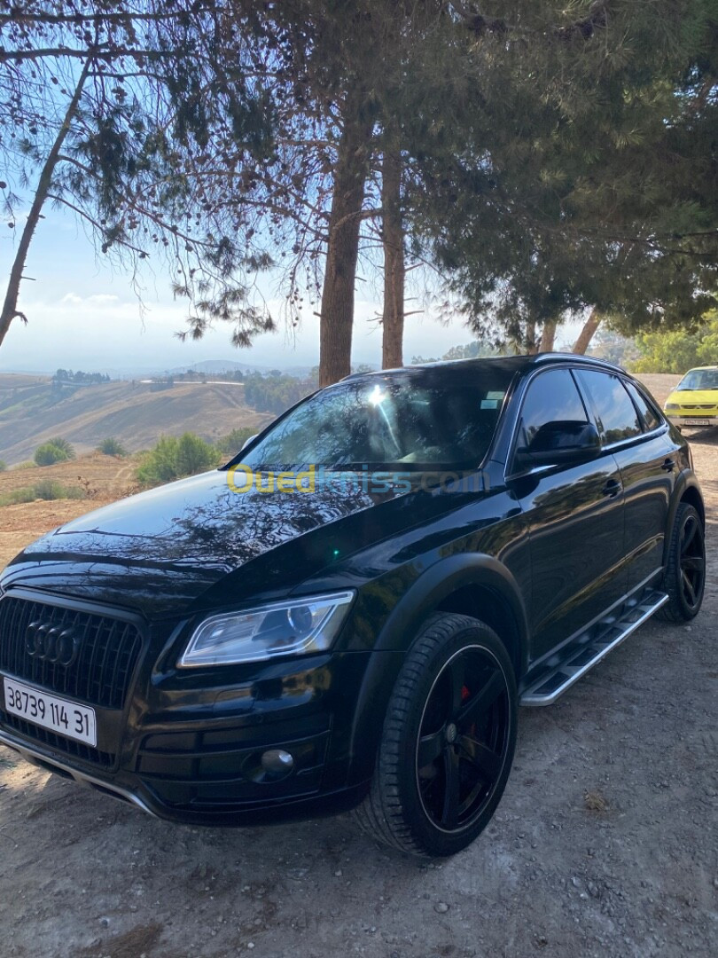 Audi Q5 2014 Offroad