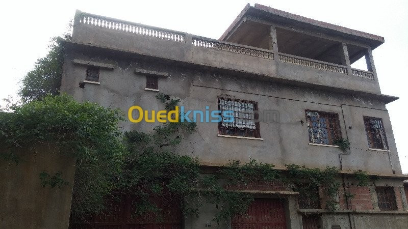 Vente Villa Blida El affroun