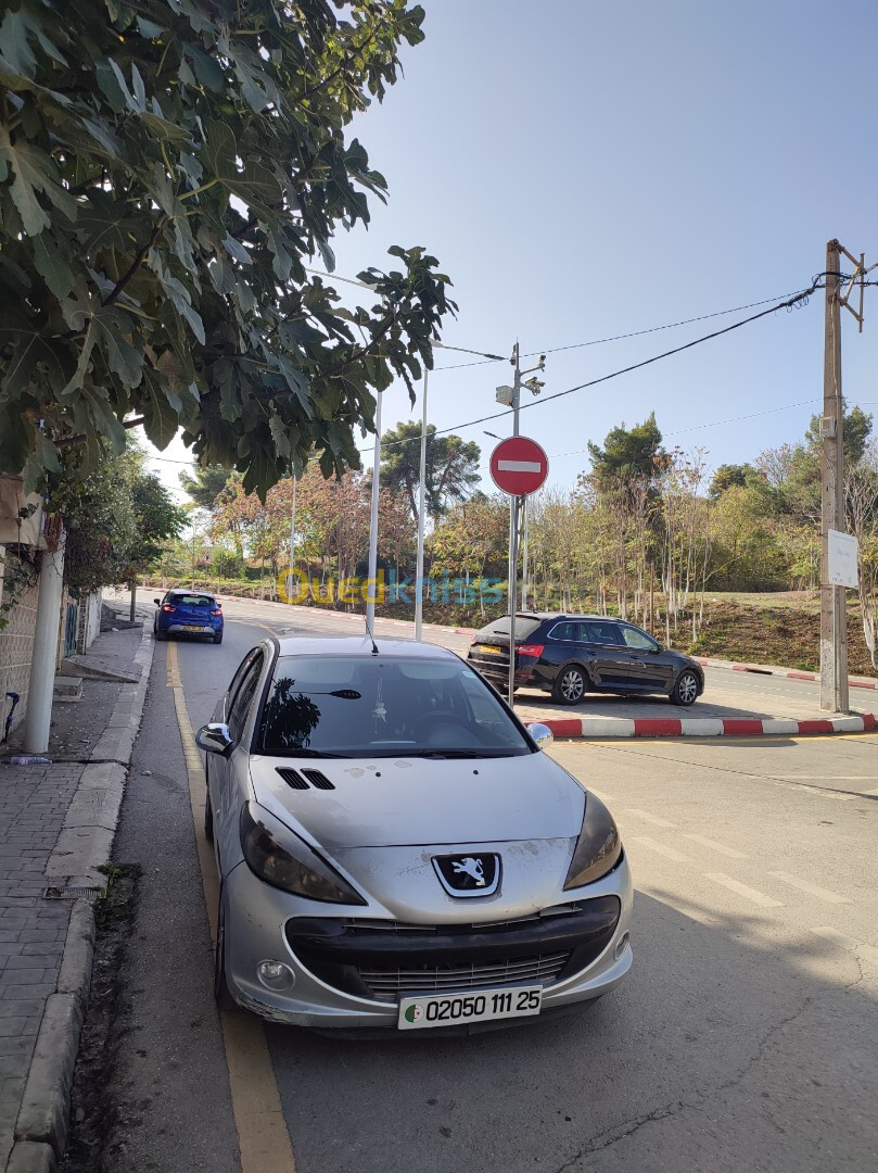 Peugeot 206 Plus 2011 206 Plus