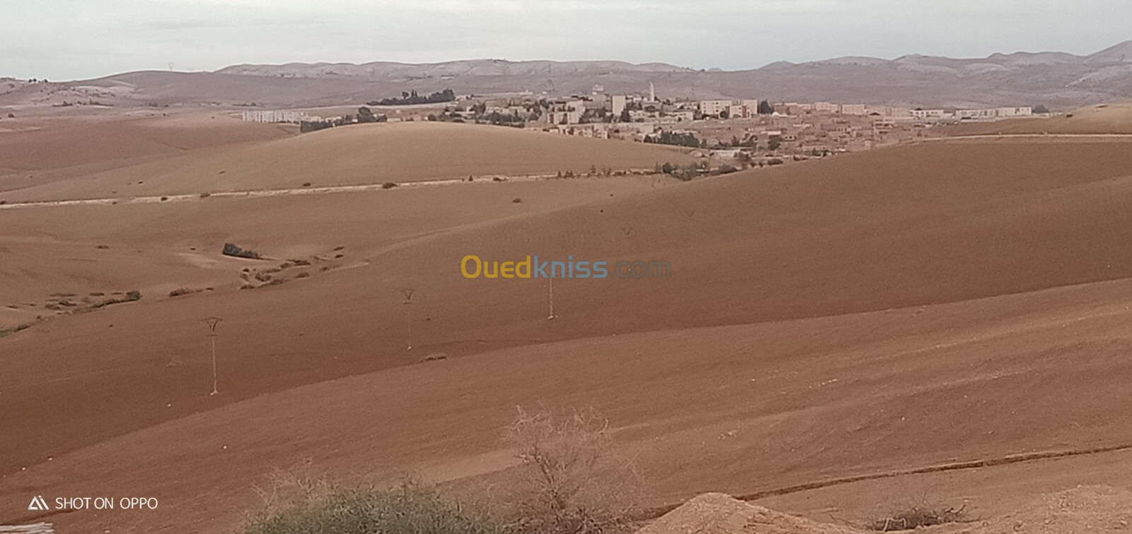 Vente Terrain Relizane Ammi moussa