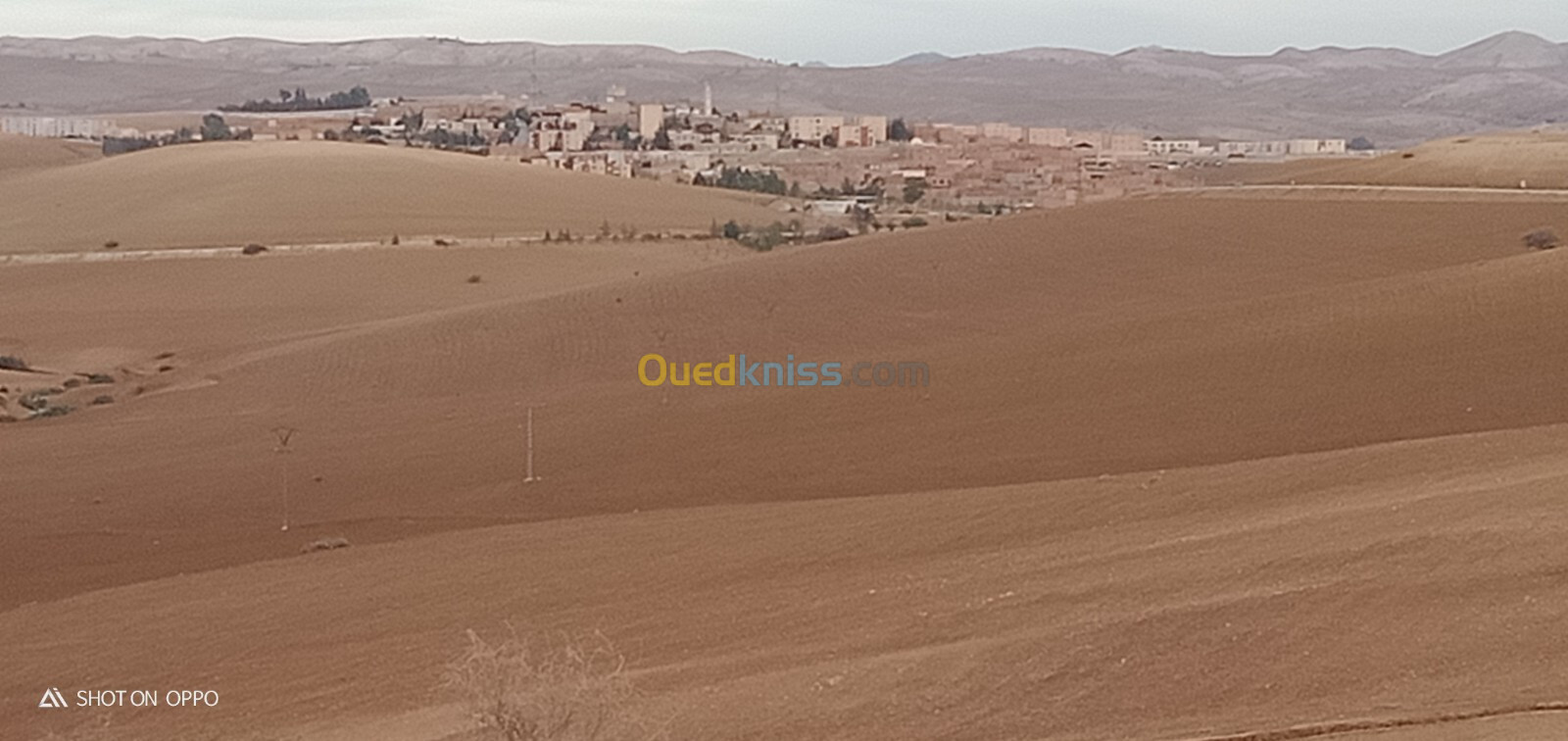 Vente Terrain Relizane Ammi moussa