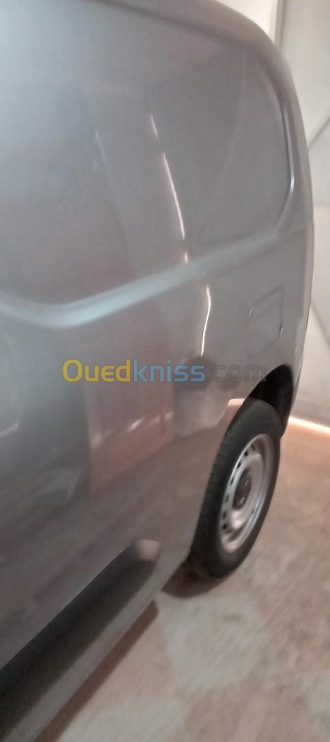 Fiat Doblo 2024 Professionnel