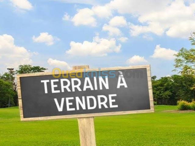 Vente Terrain Alger Dely brahim