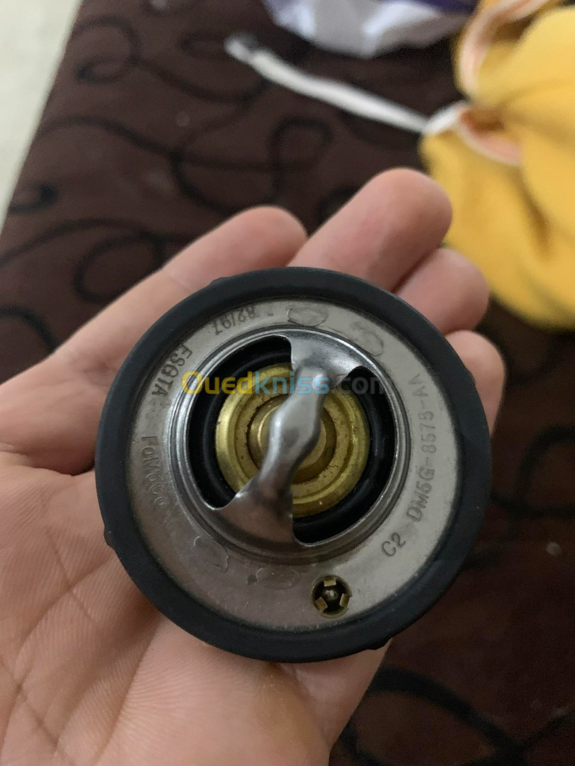 Thermostat Ford fiesta 