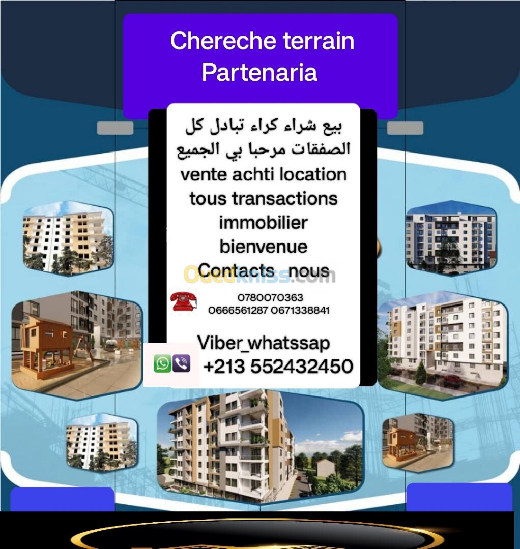 Cherche achat Terrain Alger Bologhine