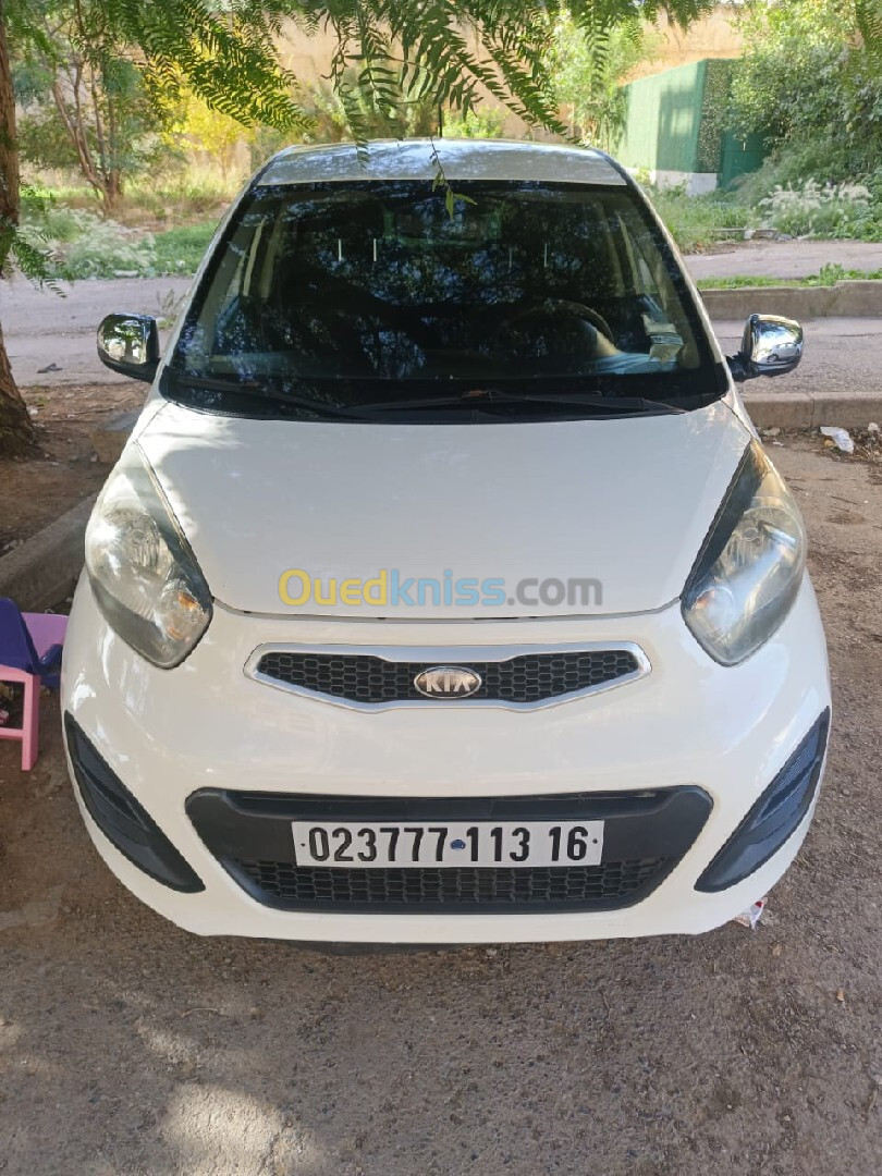 Kia Picanto 2013 Funny