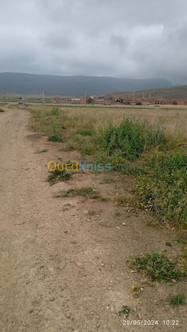 Vente Terrain Batna Tazoult