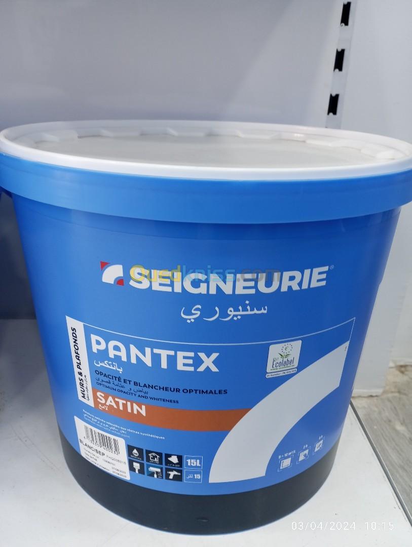 Disponible la peinture seigneurie sidi bel abbes