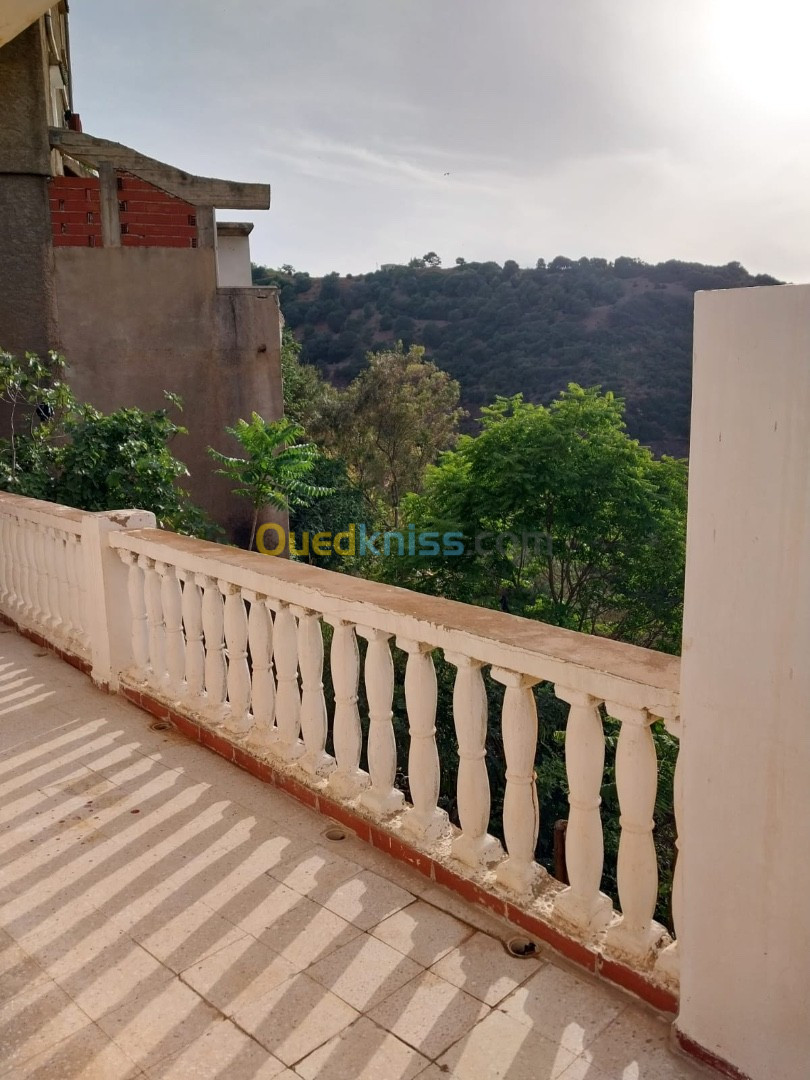 Location Niveau De Villa F1 Alger Bologhine