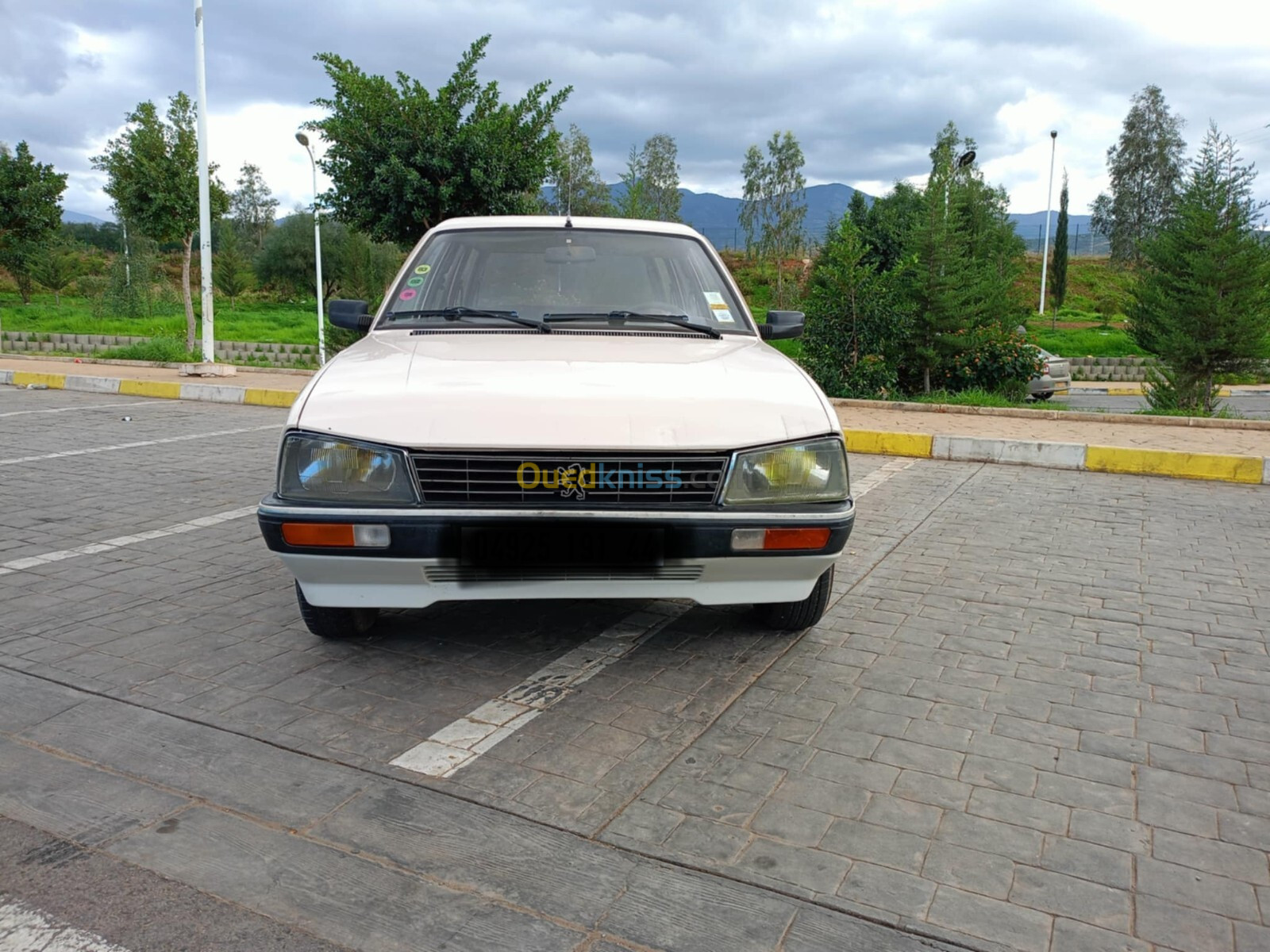 Peugeot 505 1991 505