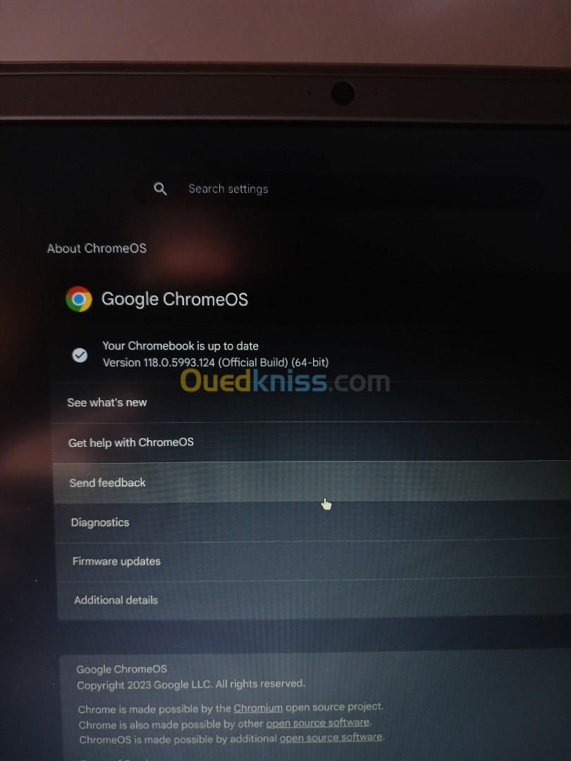 Samsung ChromeOS 