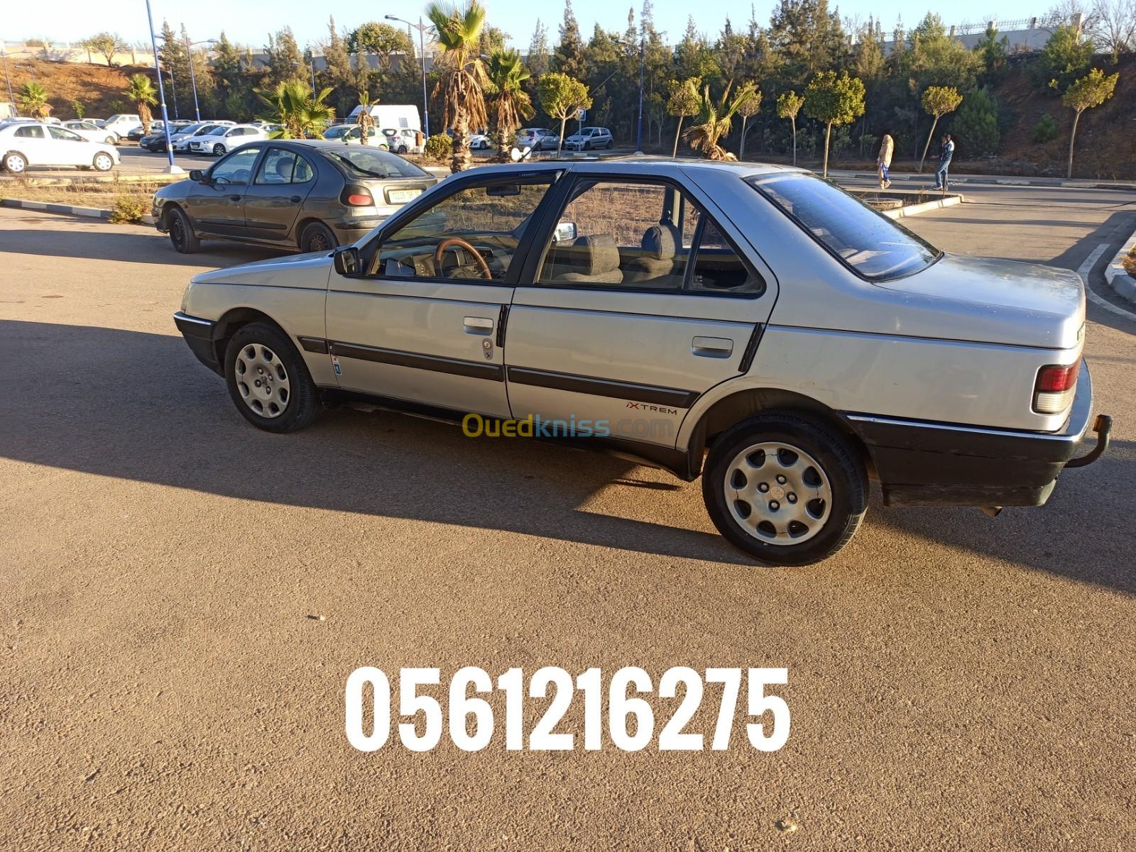 Peugeot 405 1990 405