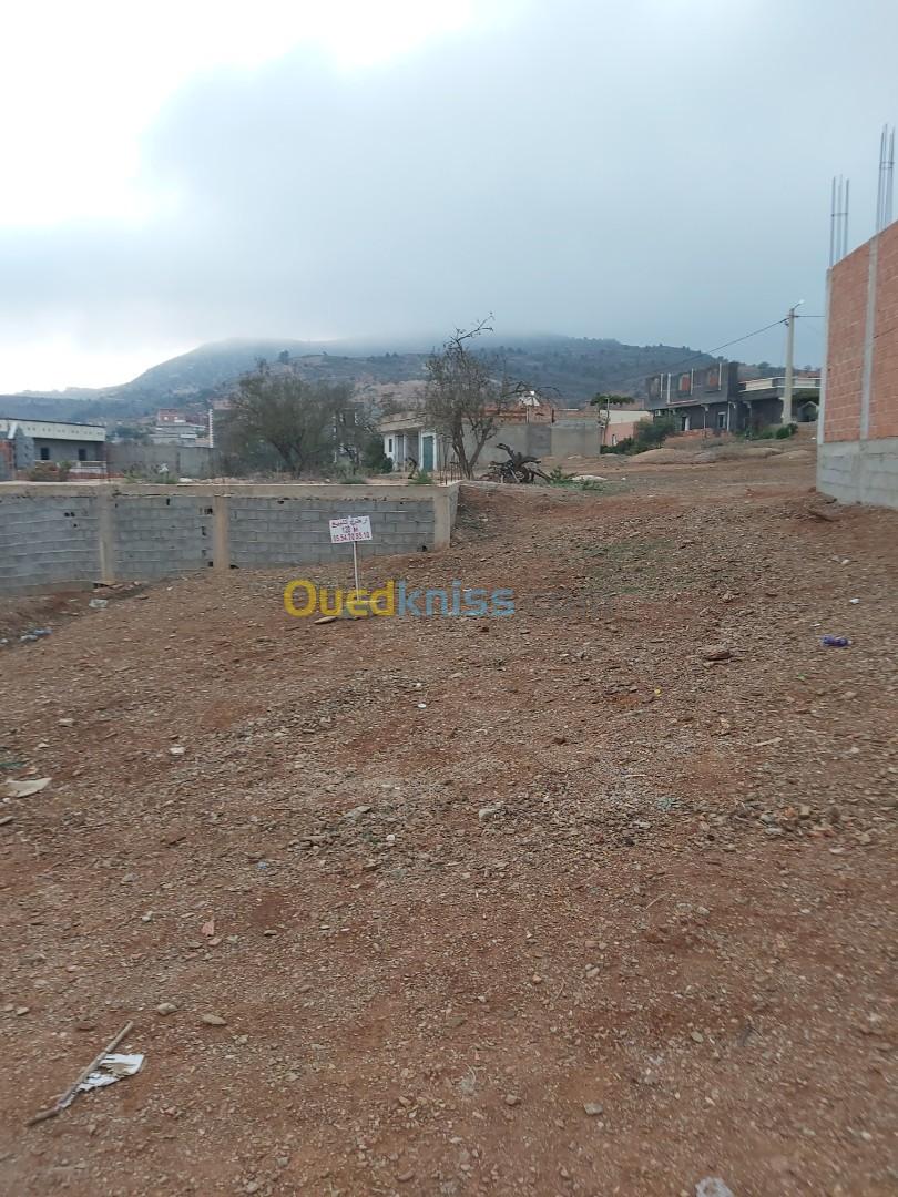 Vente Terrain Tlemcen Souahlia