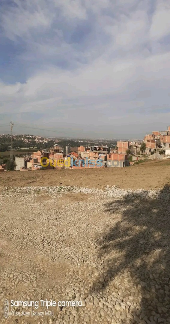 Vente Terrain Boumerdès Larbatache