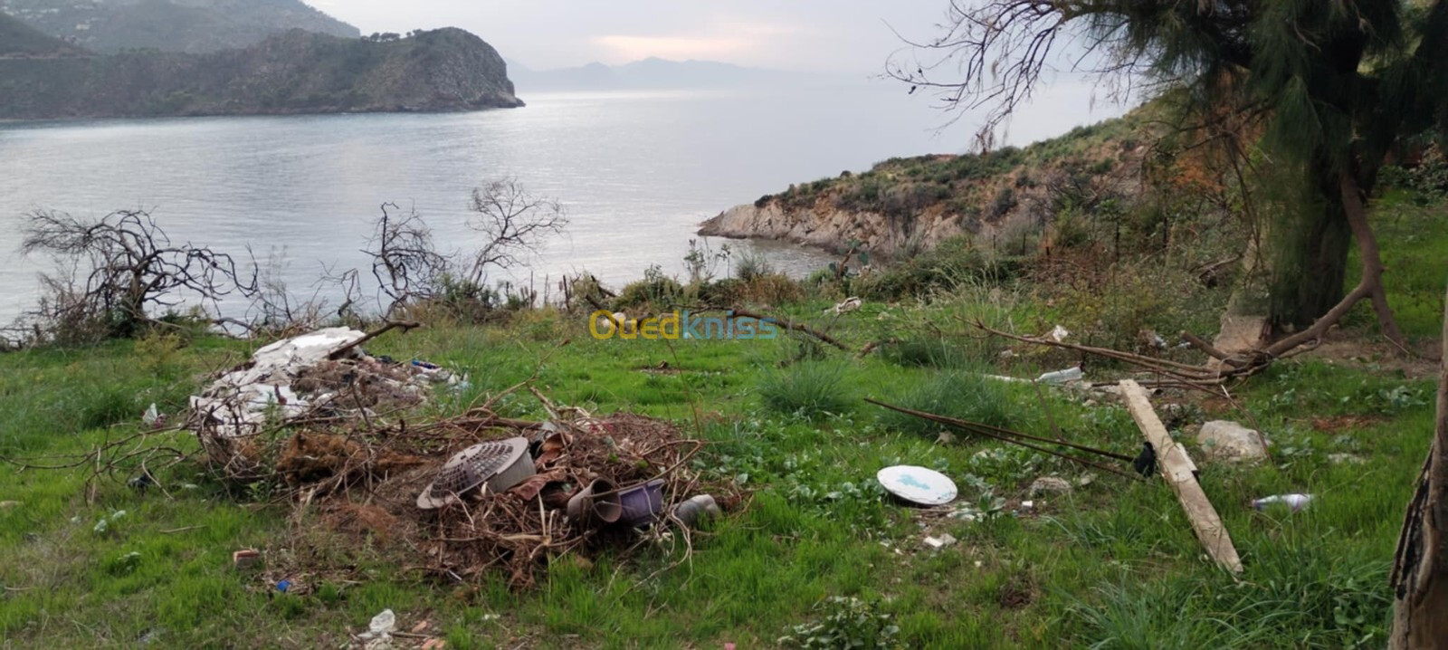 Vente Terrain Jijel Ziama mansouriah