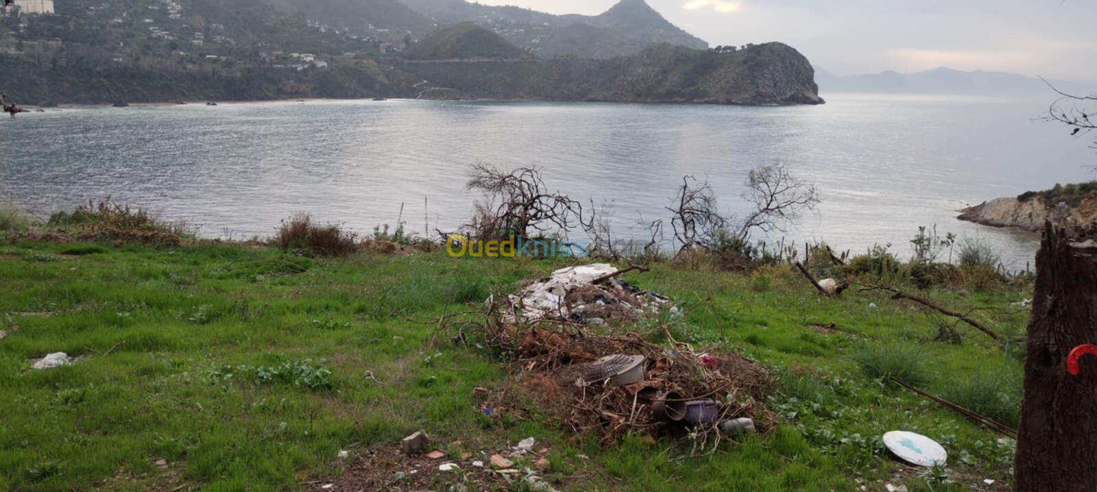 Vente Terrain Jijel Ziama mansouriah