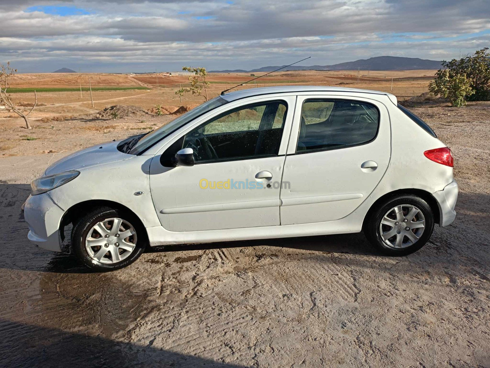 Peugeot 206 Plus 2010 206 Plus