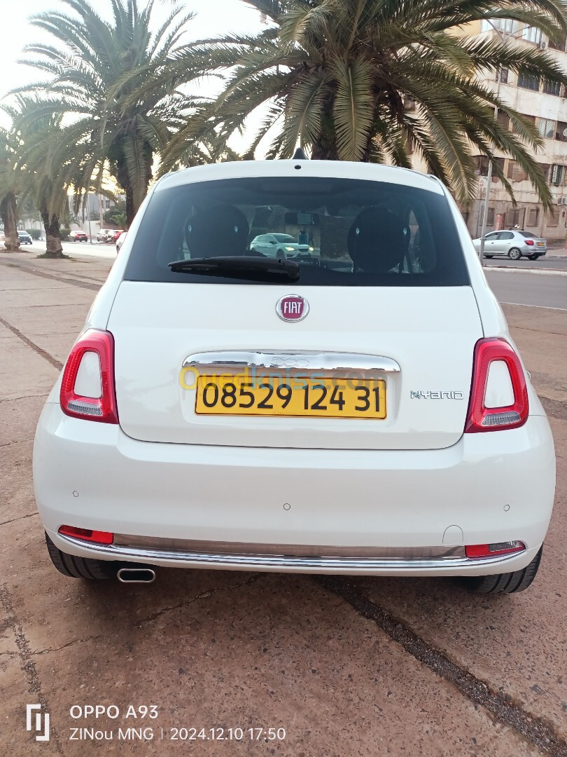 Fiat 500 club 2024 Club